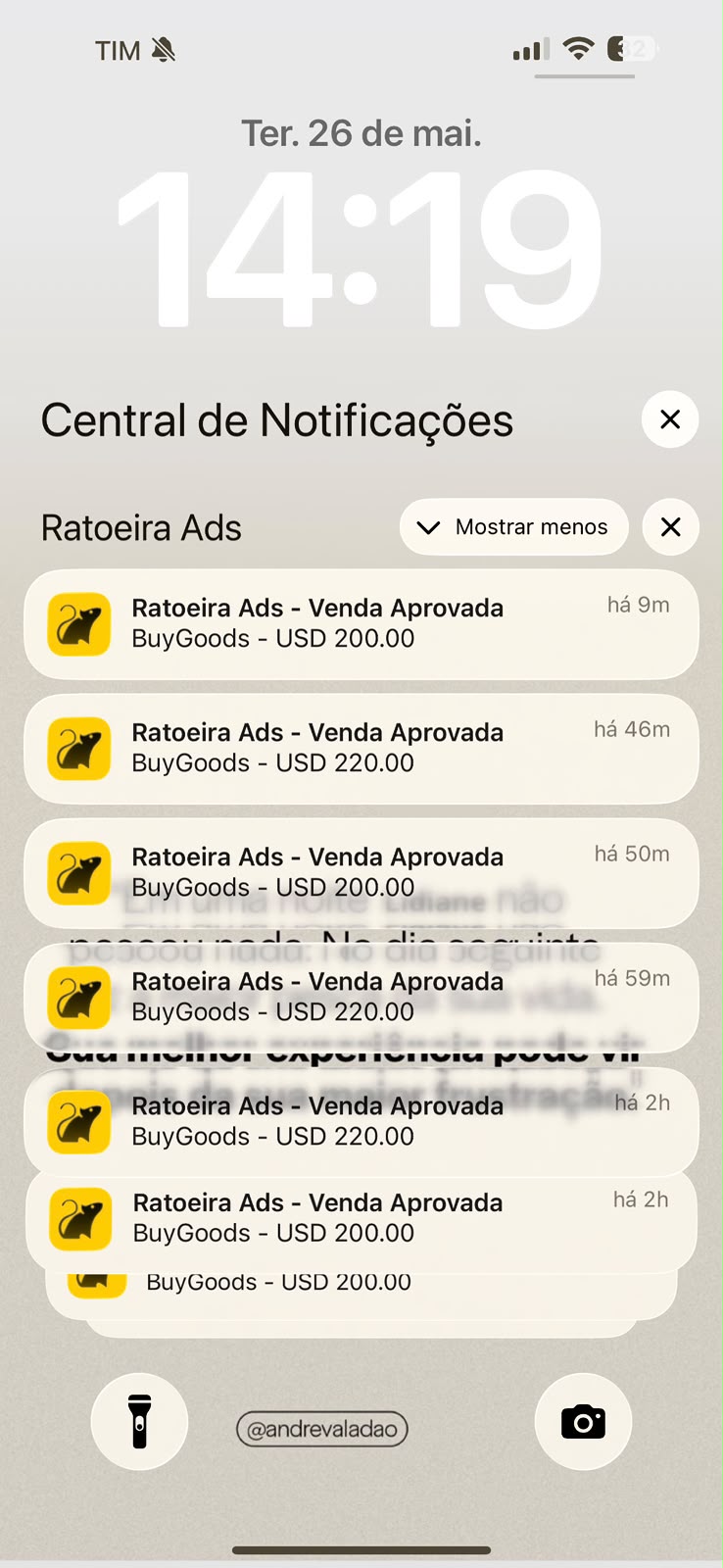 Notificações de vendas aprovadas em dólar da Lidiane